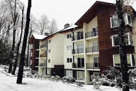 Pucón/stgo. downtown apartments - Hizvo