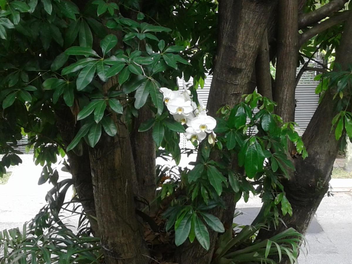 Jardim Leonor SUÍTE SÓ PARA MULHERES Profissionais da Saúde Hospital Einstein Morumbi - Housity