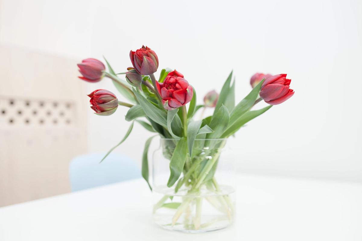 HiP & STYLISCH B&B - Housity