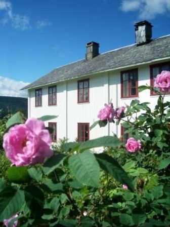 Dale Gård - Housity