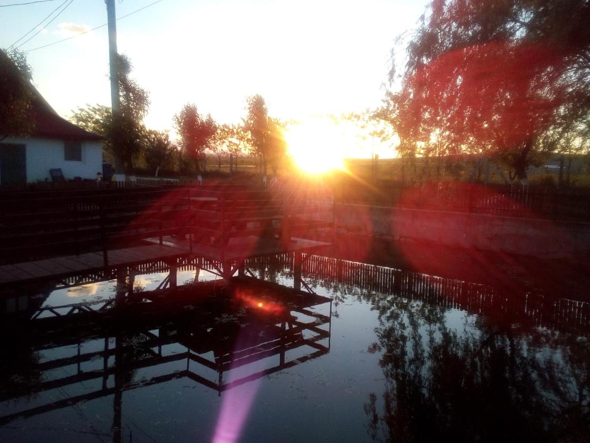 Pensiunea ,,La struti