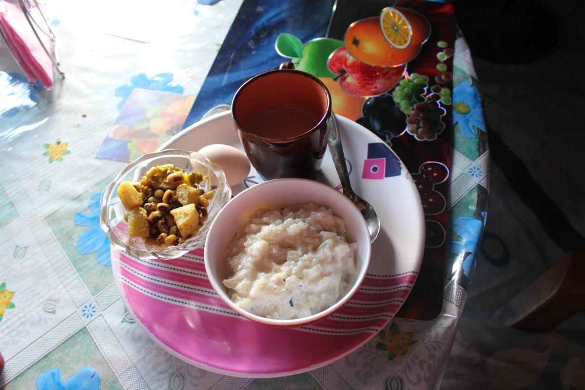 Patlekhet Community Homestay - Housity