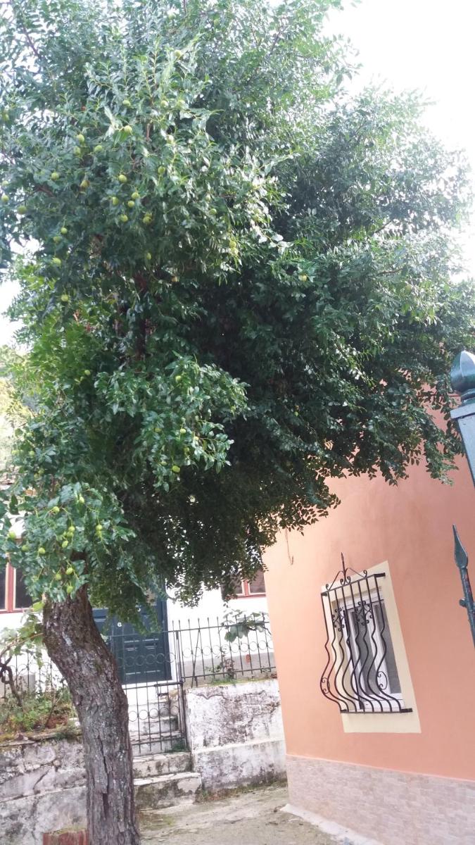 Anthi's Cottage - Housity