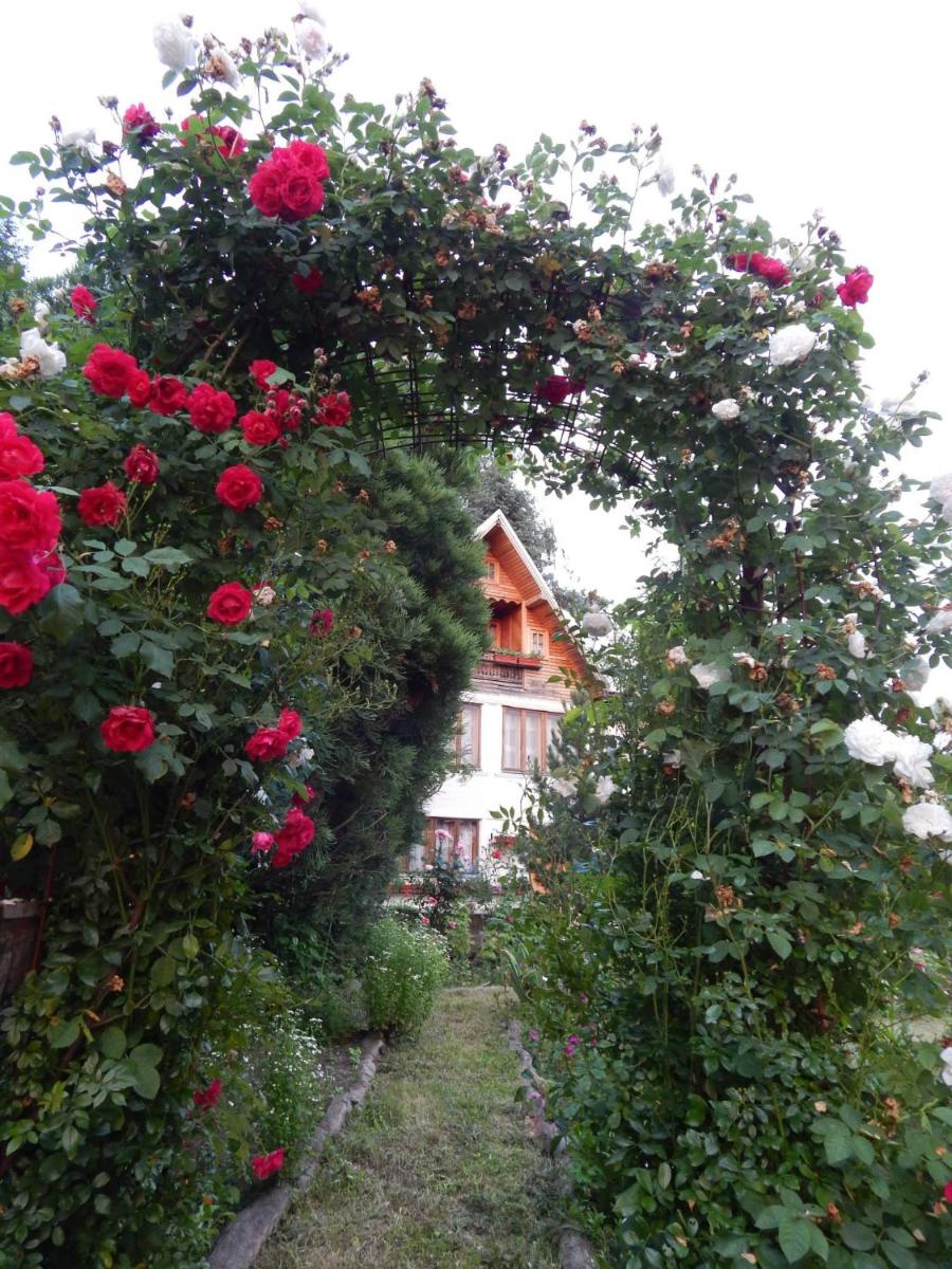 Pensiunea Paradis - Housity