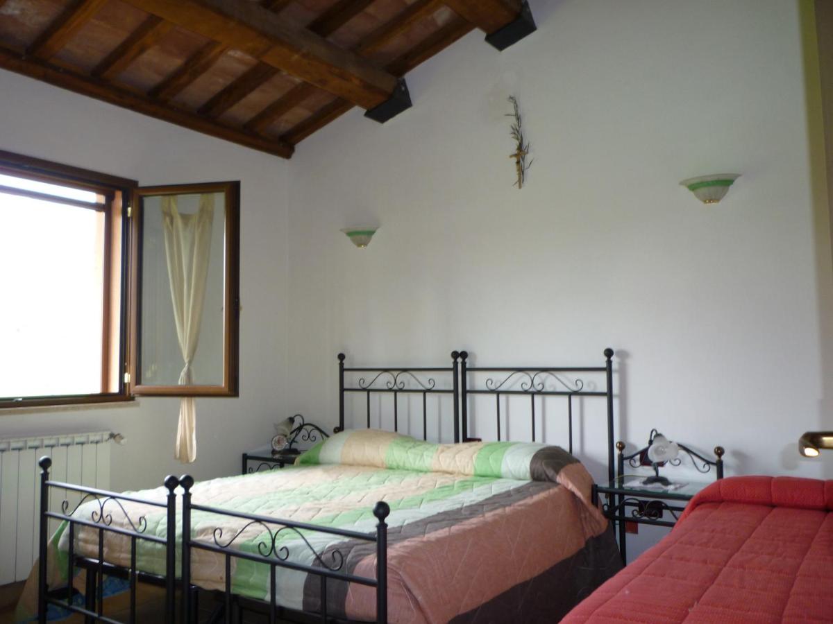 Tadinum Romana - Housity