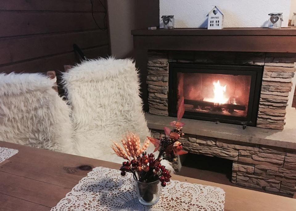 Drevenica Jánošík - Housity