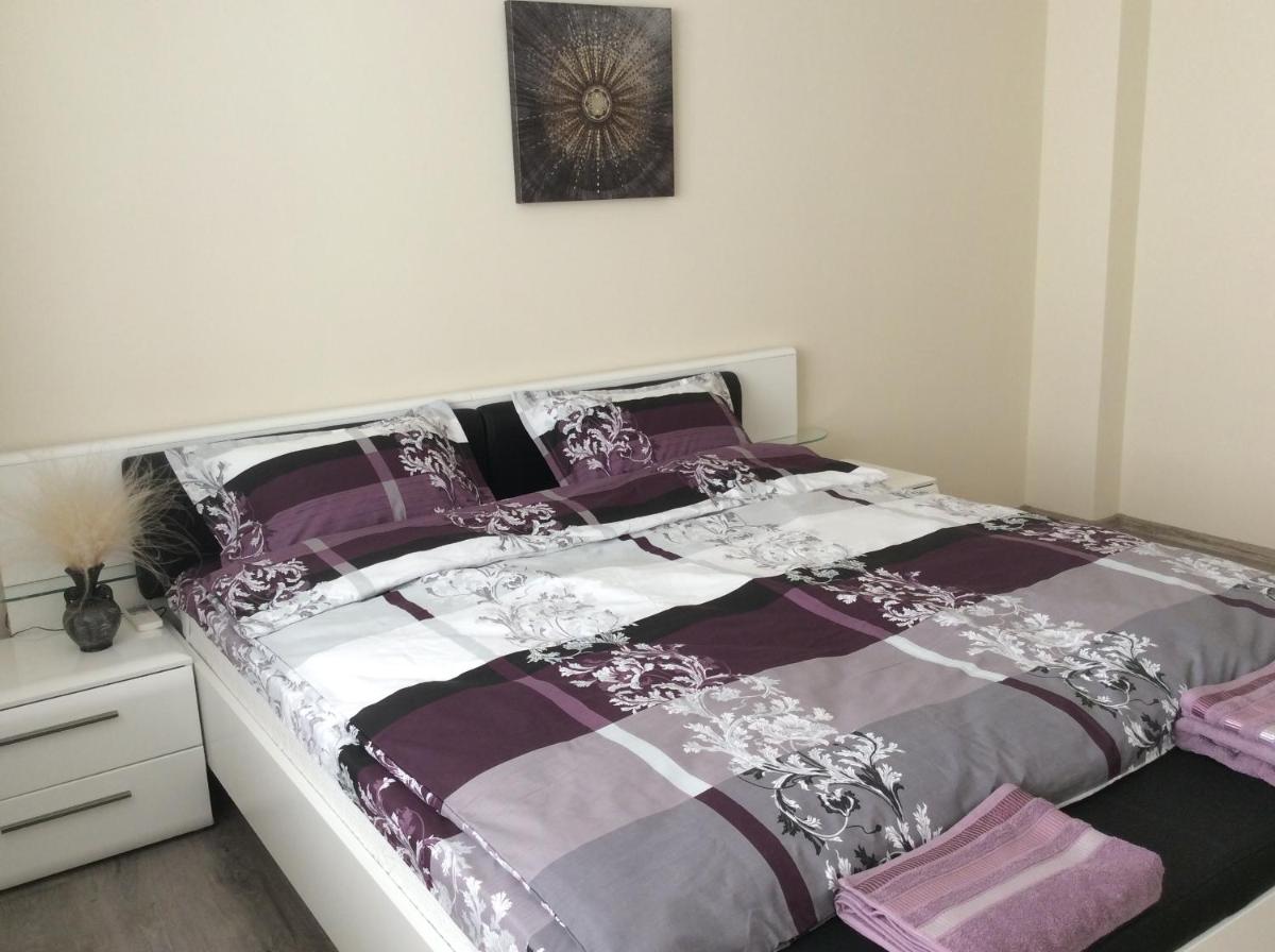 Luxurious, completely renovated apartment - Housity