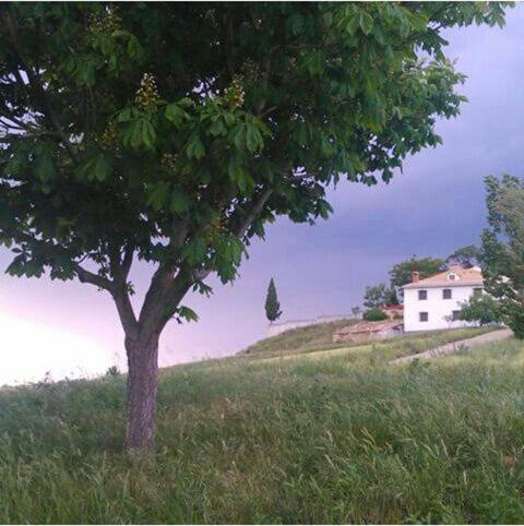 Hotel Rural El Cuco - Housity