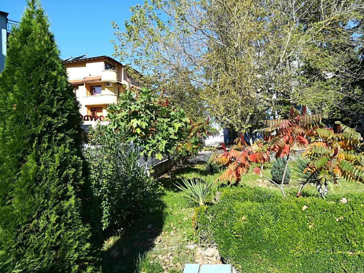 Park 1 - Hizvo