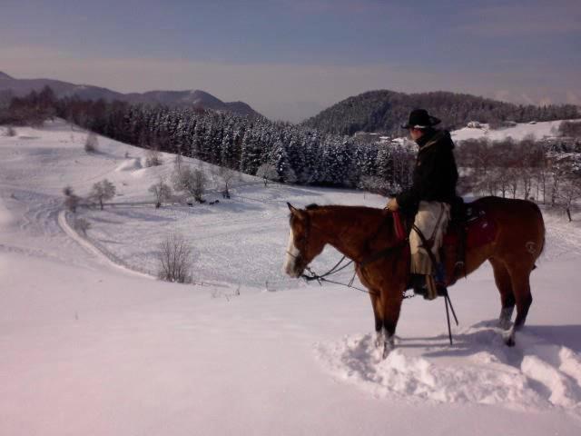 Agriturismo La Nevera - Housity