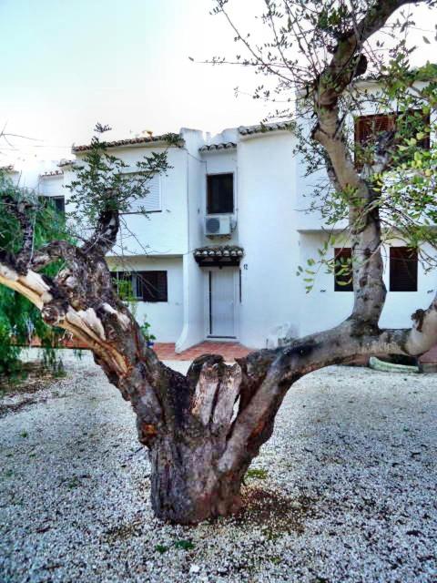 Alta Mira - Housity