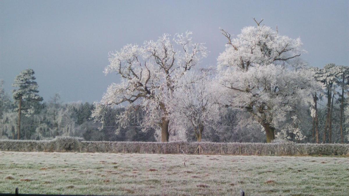 Mayertorne Cottage - Housity