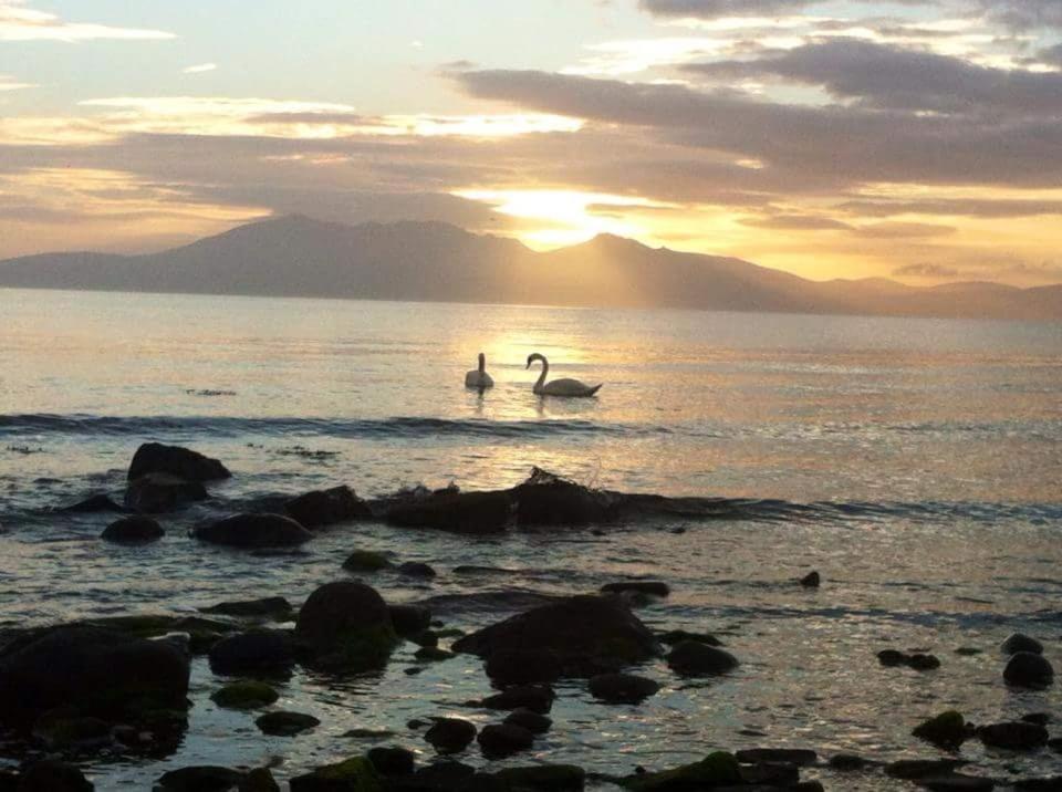 Tarbert - Room Only - Housity
