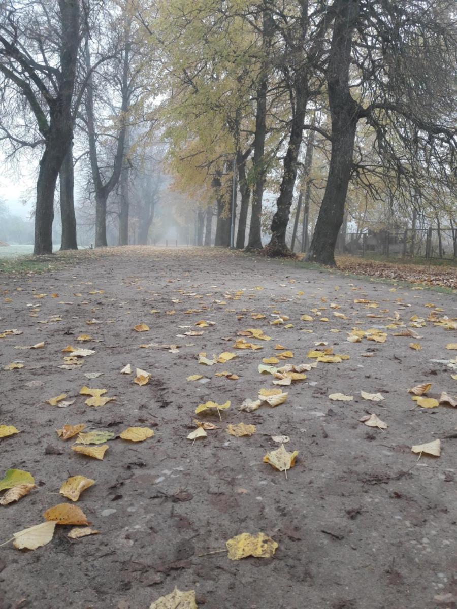 Alejas Namiņš - Housity