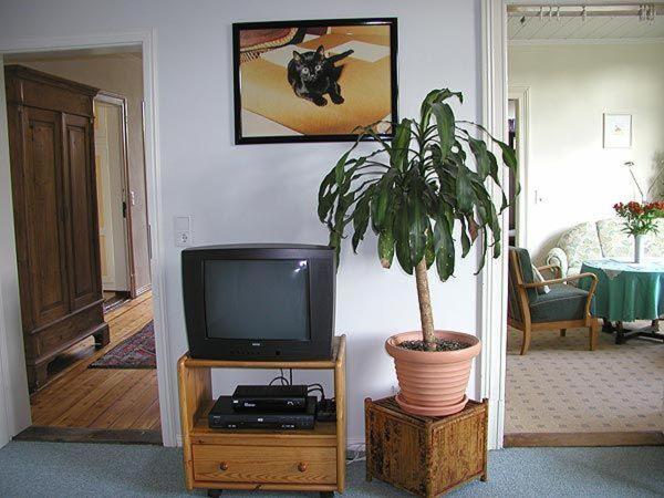 Ferienwohnung-im-historischen-Kaufhaus-Angeln - Housity