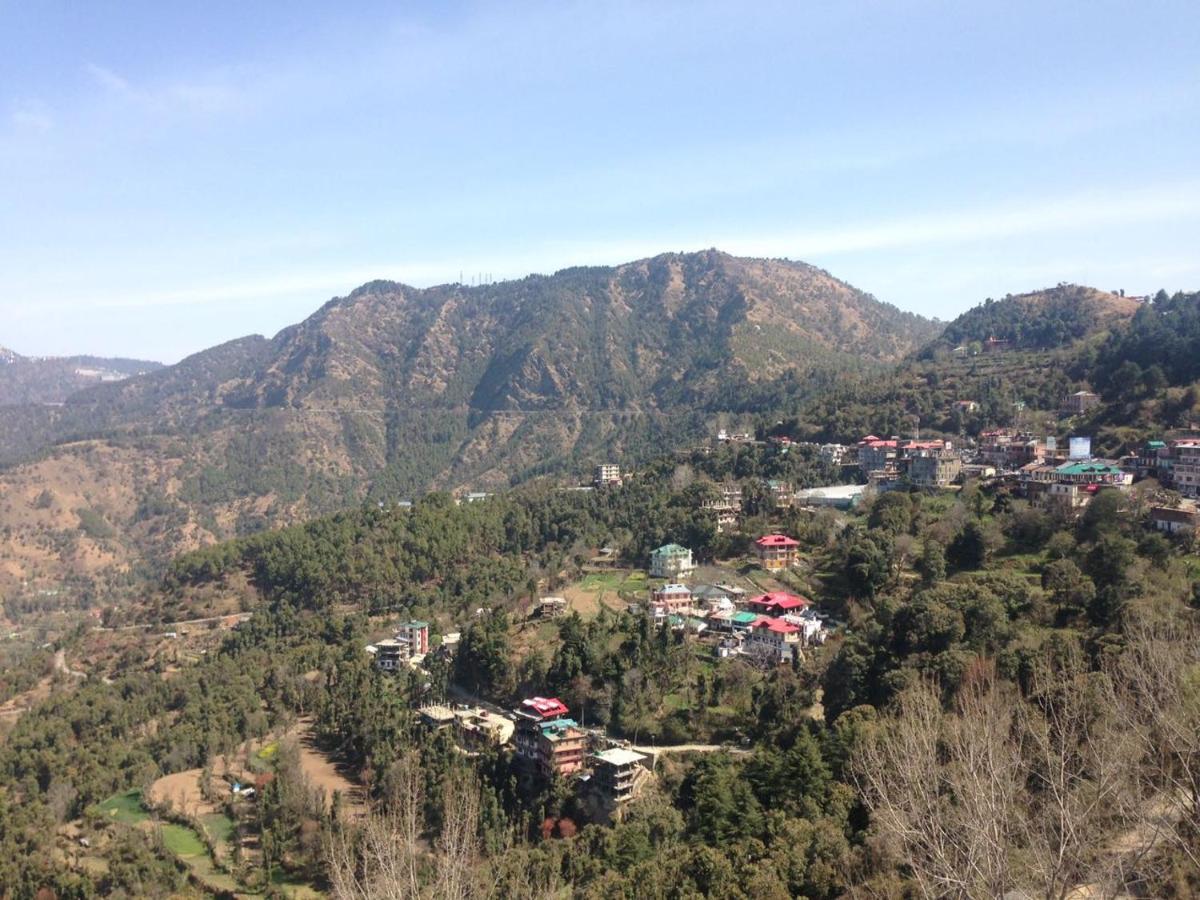 Suitetrails - Serene Homestay in Shoghi-Shimla