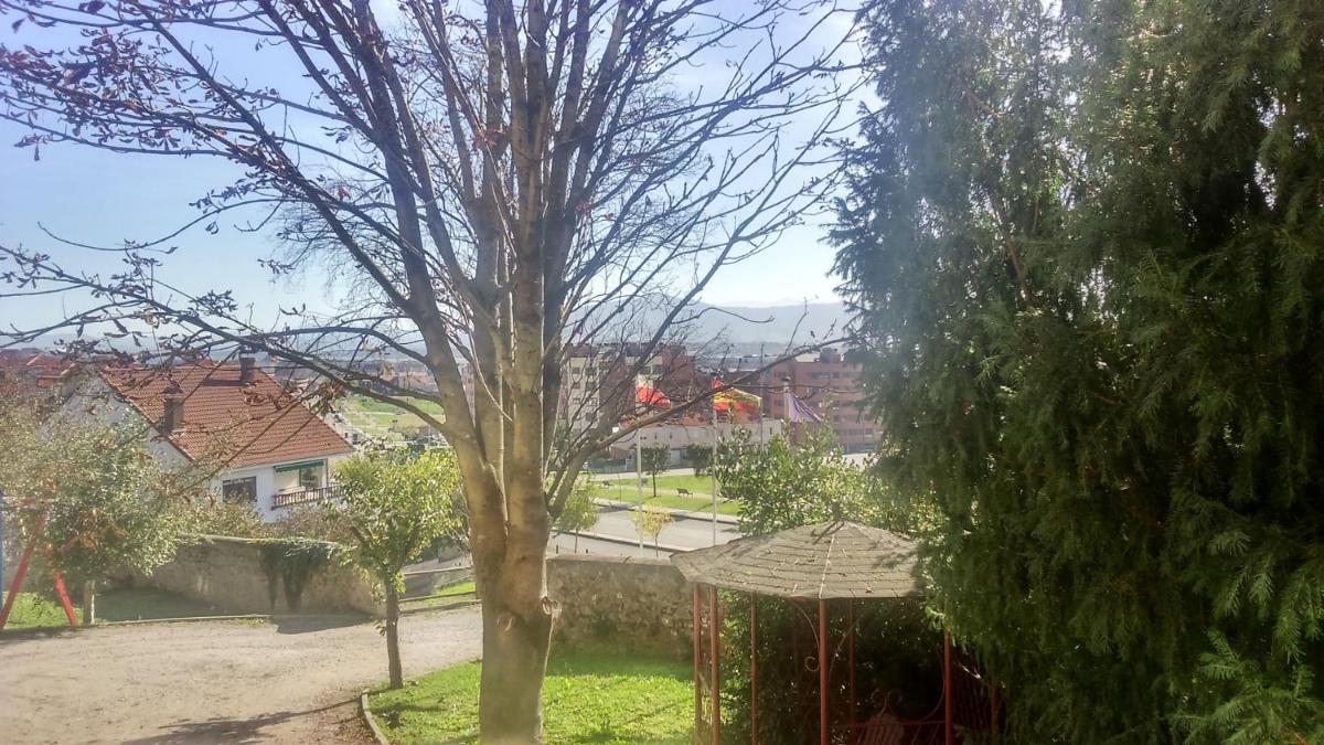 Jardín al aire libre en Hotel San Millán