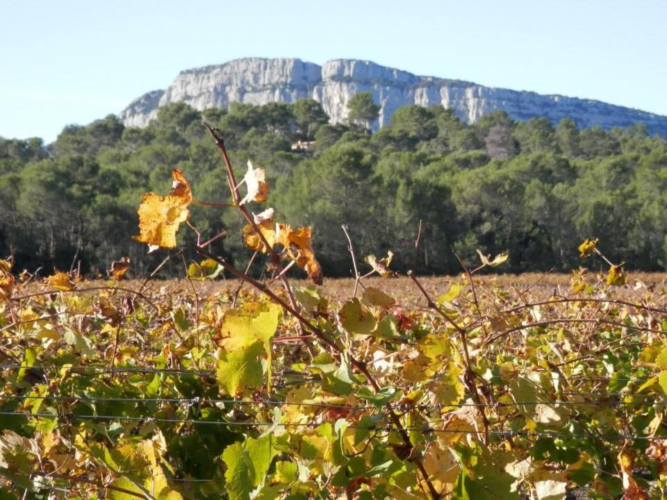 Séjour Pic Saint Loup - Housity