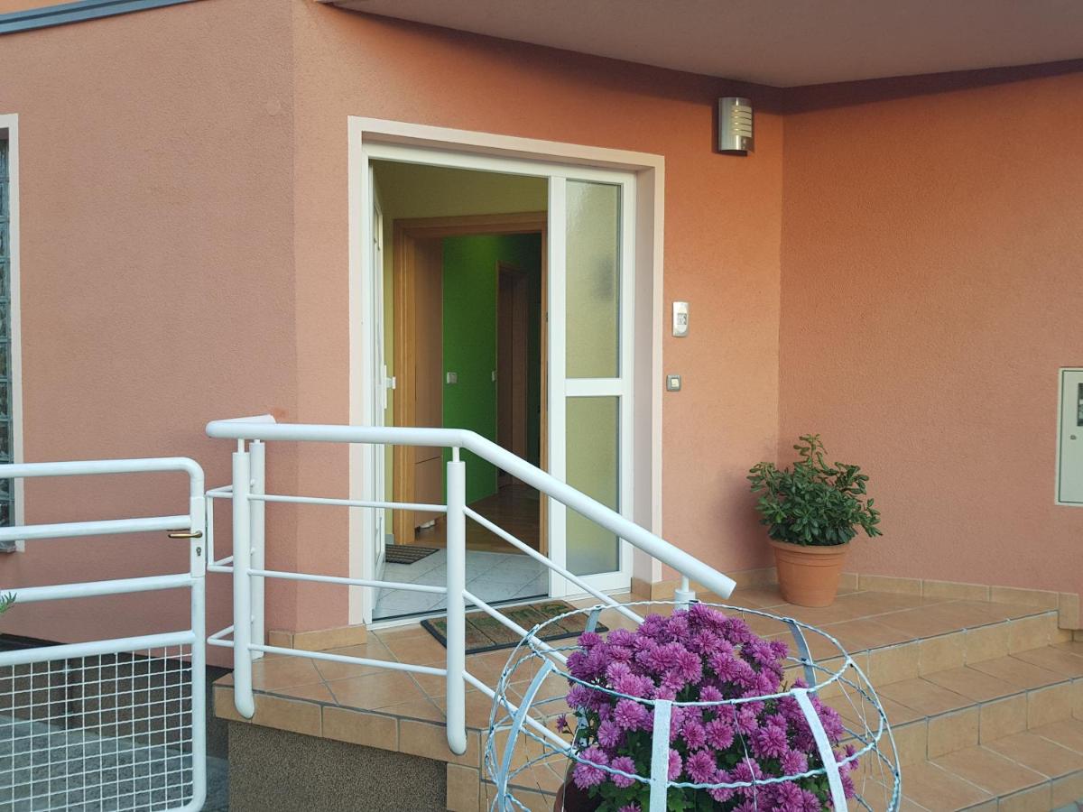 Apartment Dominik - Housity
