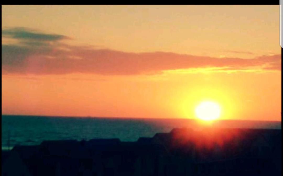 Le nid sur la mer - Housity
