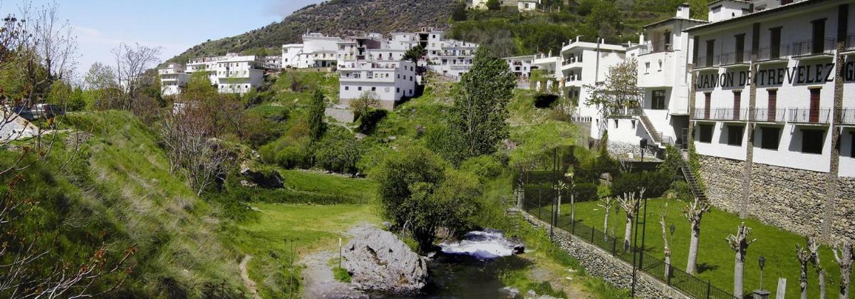 Casa Rosa - Housity