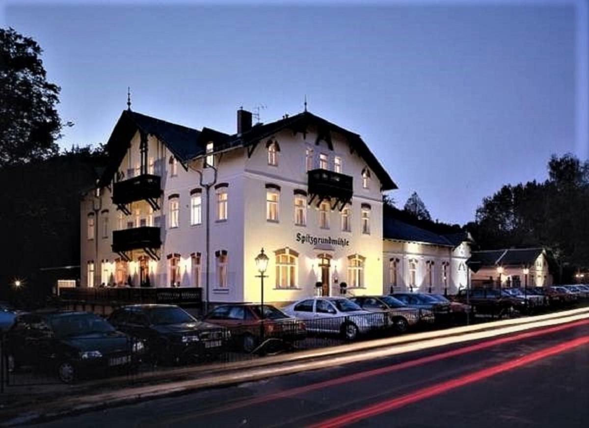 Historische Spitzgrundmühle - Housity