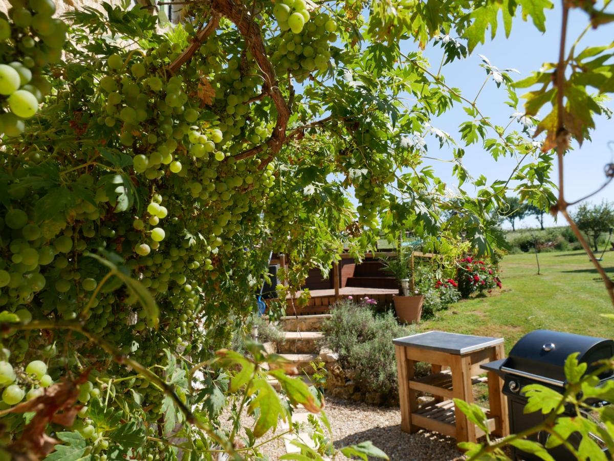 chez daisy - Housity