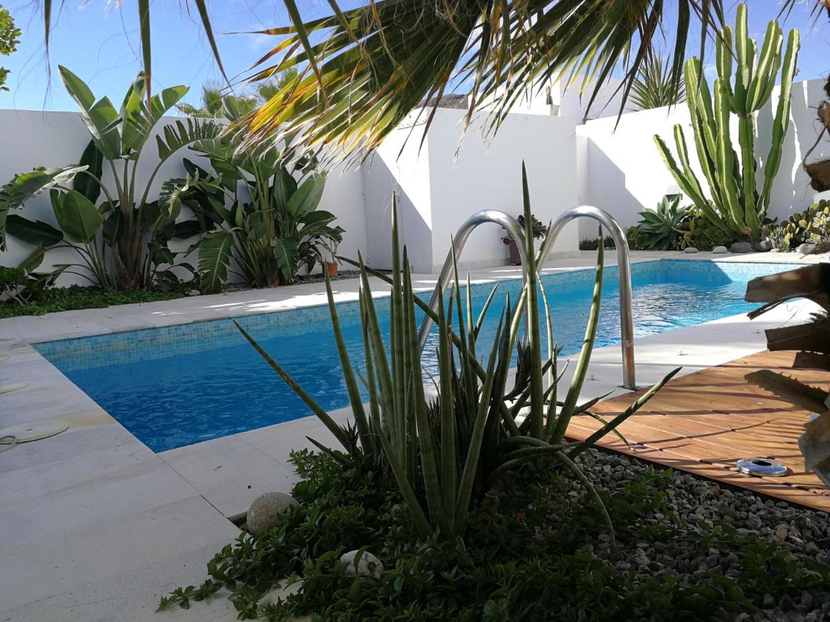 Casa Euphorbia - Housity
