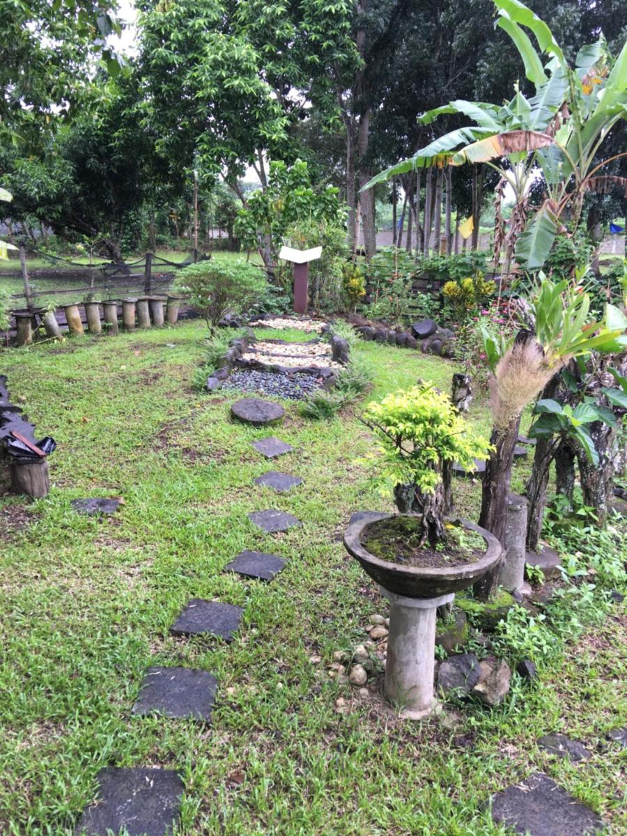 Zacona Eco-Resort & Biblical Garden - Housity