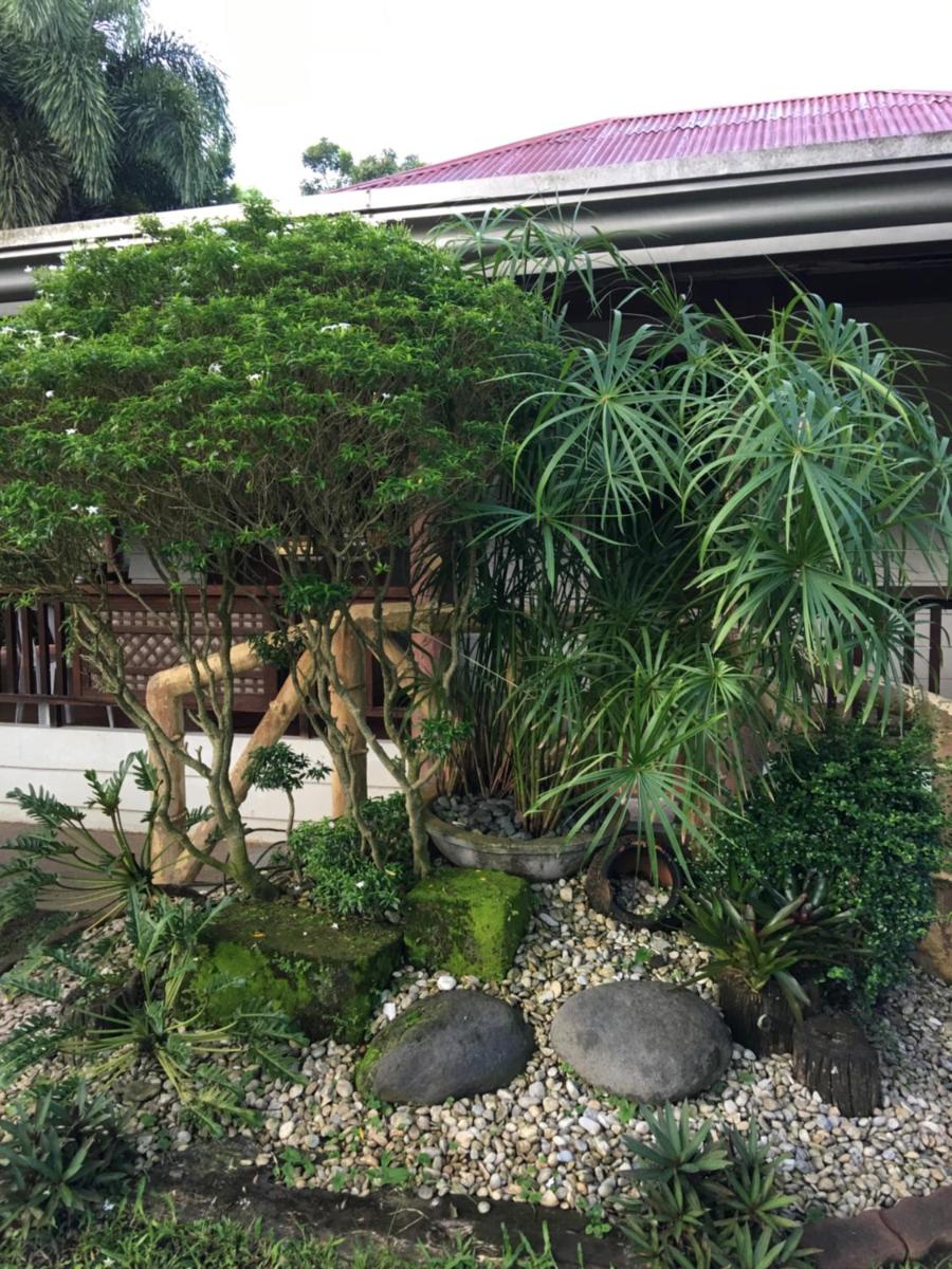 Zacona Eco-Resort & Biblical Garden - Housity