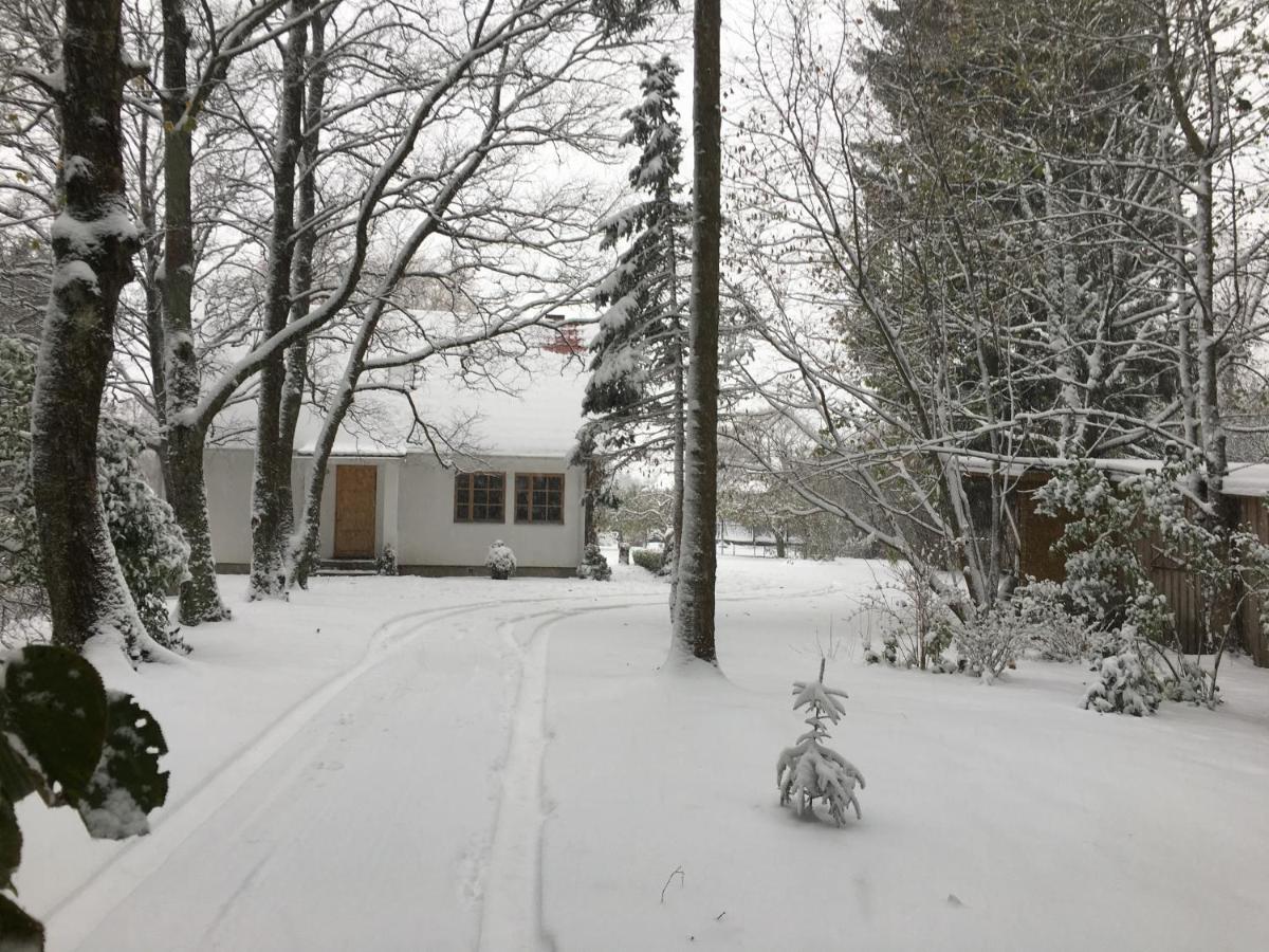 River Villa, 20 min by train to Old Town, big yard - Housity