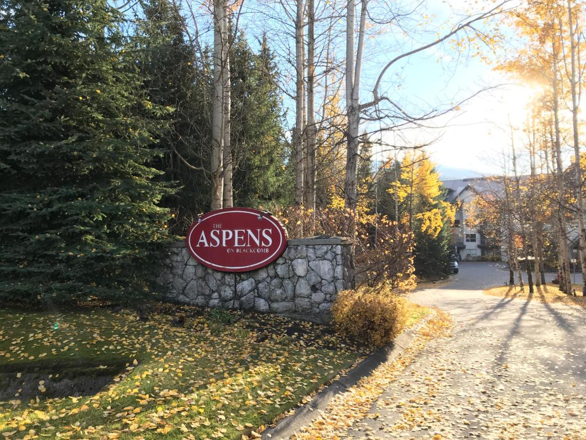 The Best Top Floor Ski-in/Ski-out at the Aspens - Housity