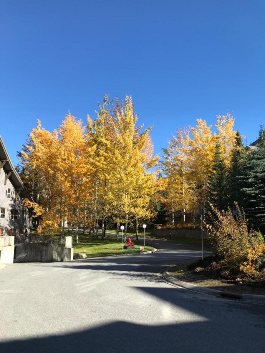 The Best Top Floor Ski-in/Ski-out at the Aspens - Housity