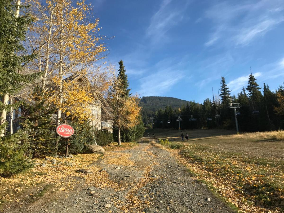 The Best Top Floor Ski-in/Ski-out at the Aspens - Housity