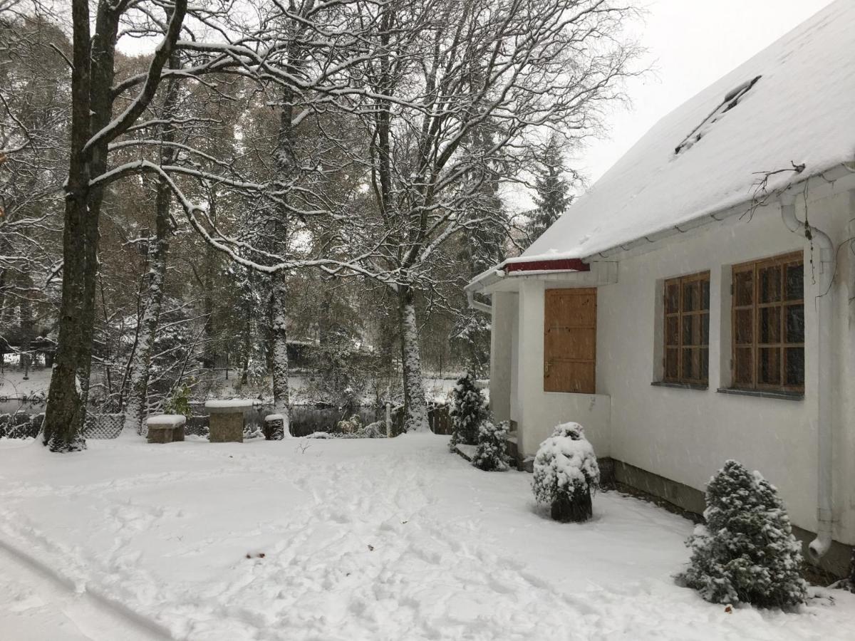 River Villa, 20 min by train to Old Town, big yard - Housity