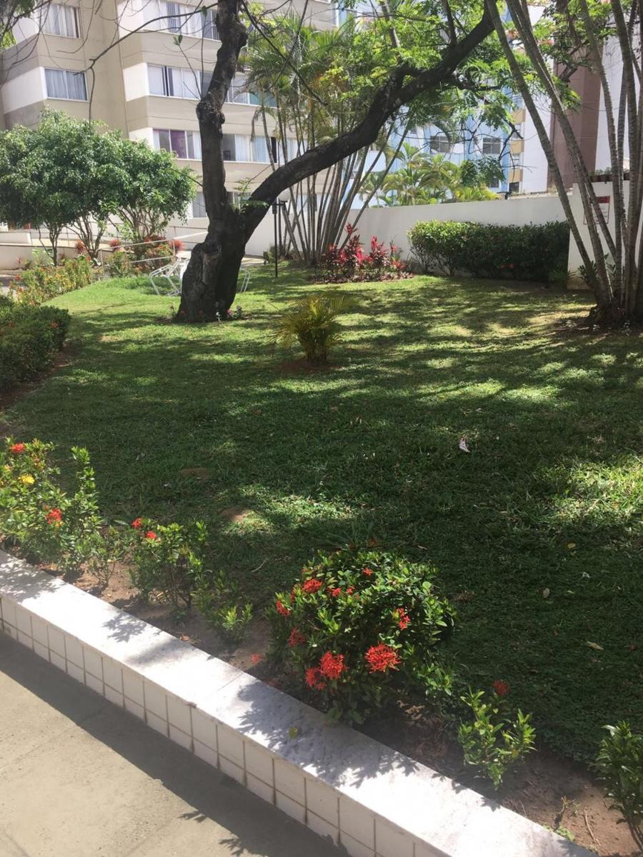 Barra Summer flat - Housity