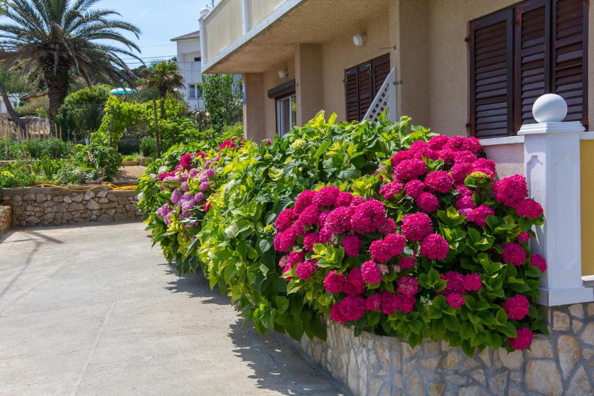 Apartments Ani - Housity