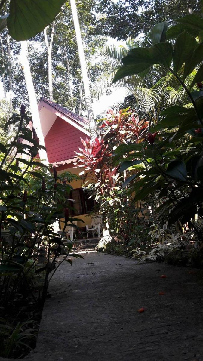 Khao Sok Holiday Resort - Housity