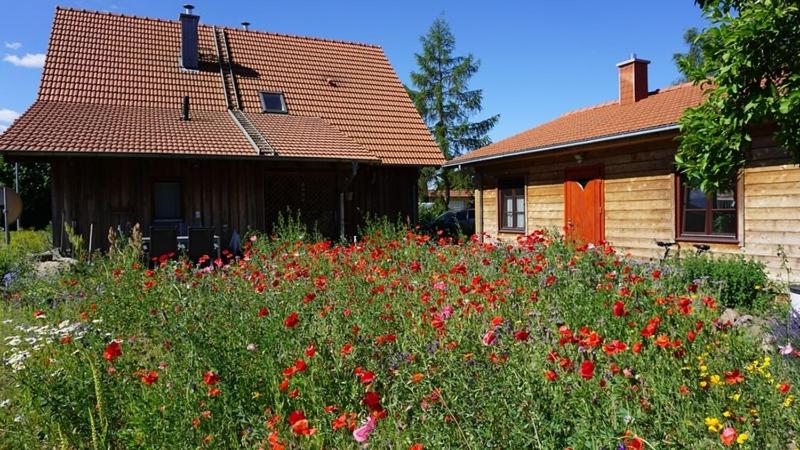 Gaestehaeuser Eva_Maria und Reinha - Housity