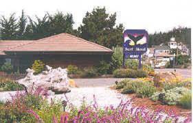 Surf Inn - Housity