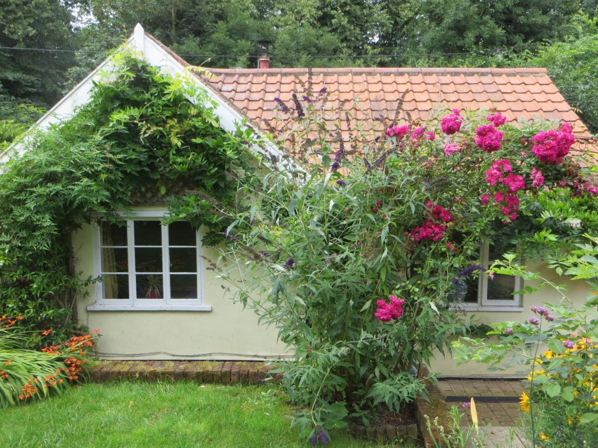 Stream Cottage, 450 year old thatched cottage - Housity