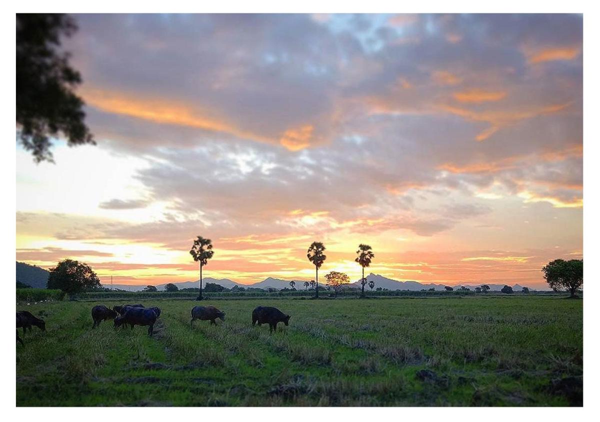 Wanlapa Farmstay - Housity