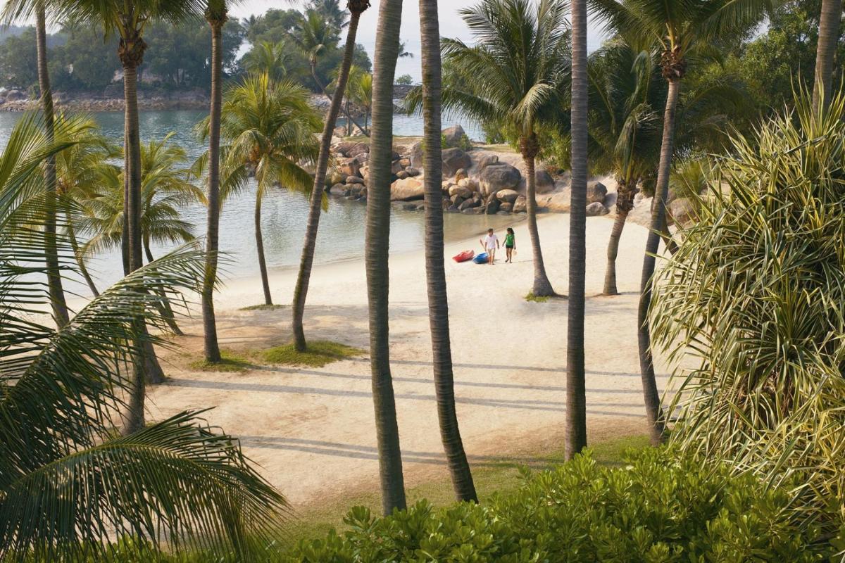 a beach with palm trees and people on it at Shangri-La Rasa Sentosa, Singapore in Singapore a beach with palm trees and people on it at Shangri-La Rasa Sentosa, Singapore in Singapore