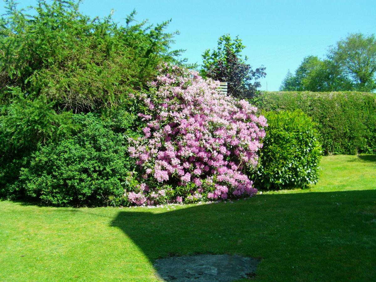 Les Grillettes - Housity