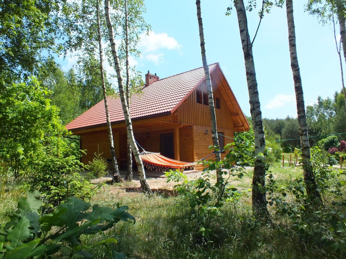 Sumówko Leśne Siedlisko - Housity