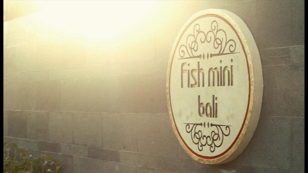 Fishmini Room & Breakfast - Housity