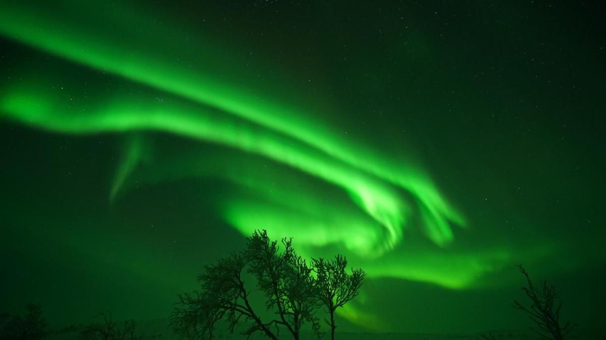 Arctic Aurora Borealis cottages - Housity