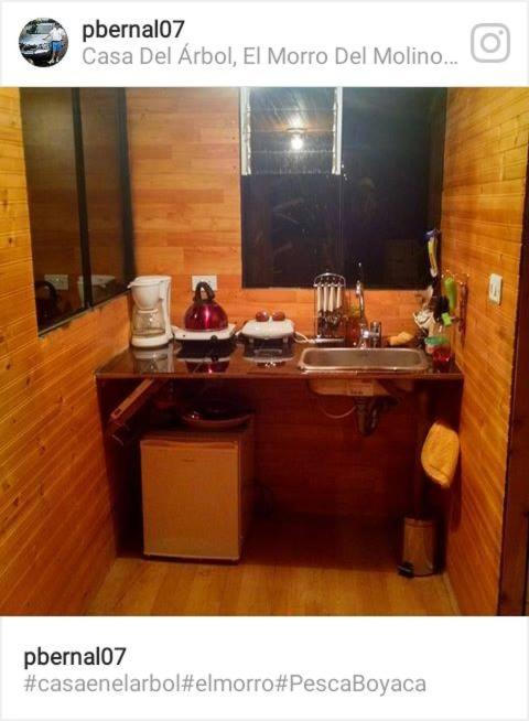 Casa En El Arbol - Housity