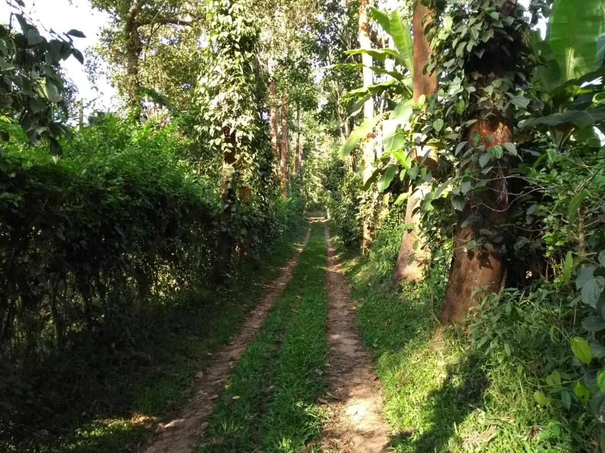 Coorg 4 C's Little Paradise - Housity