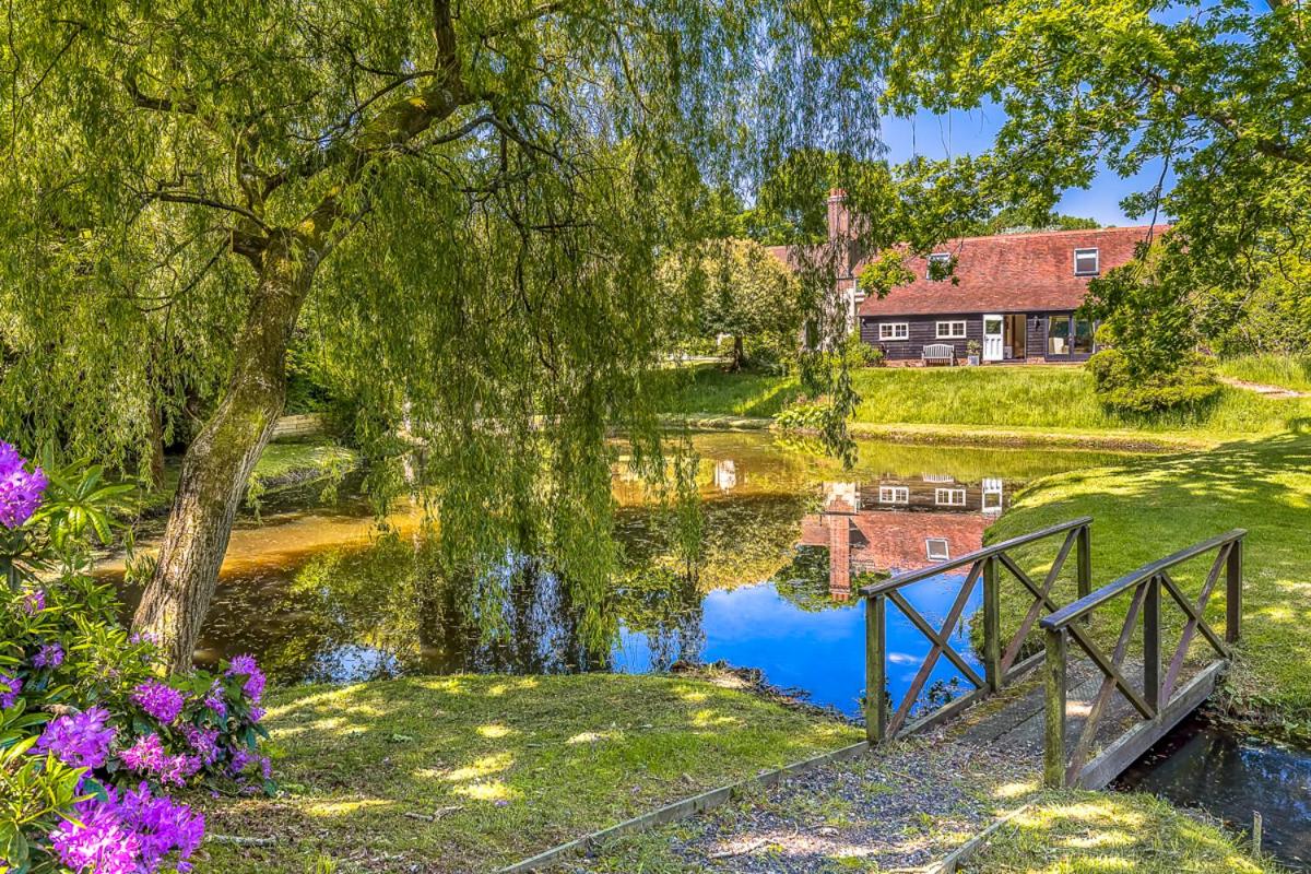 The Duck House - Housity